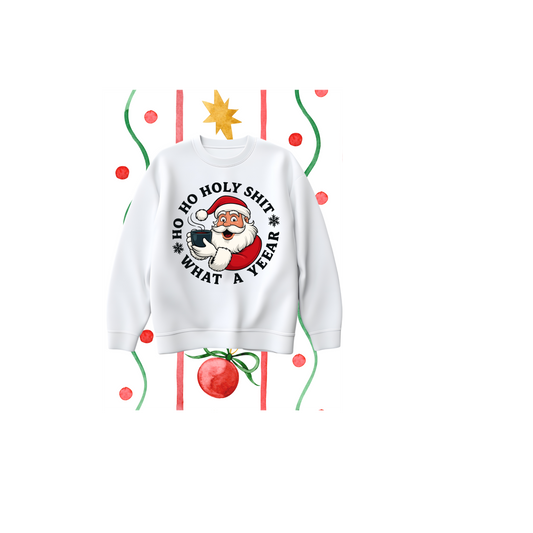 Ho Ho Holy Shit, What a Year  DTF Print